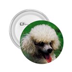 poodle 2.25  Button