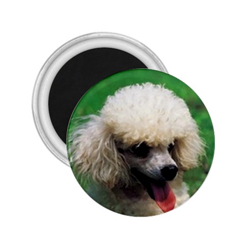 poodle 2.25  Magnet from UrbanLoad.com Front