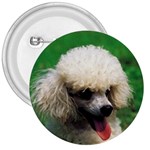 poodle 3  Button