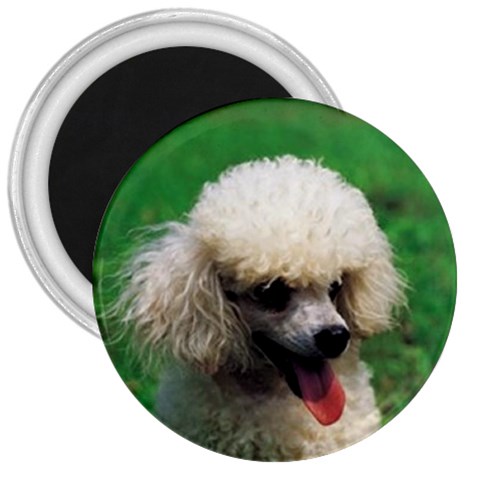 poodle 3  Magnet from UrbanLoad.com Front