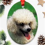 poodle Ornament (Oval)