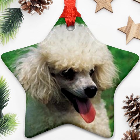 poodle Ornament (Star) from UrbanLoad.com Front