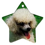 poodle Ornament (Star)