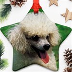 poodle Ornament (Star)