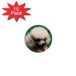 poodle 1  Mini Button (10 pack) 