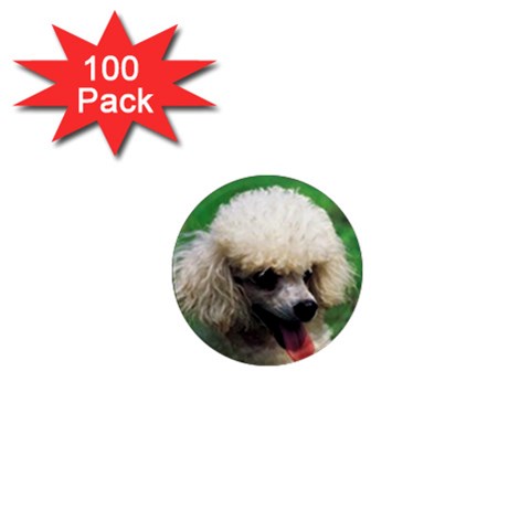poodle 1  Mini Magnet (100 pack)  from UrbanLoad.com Front