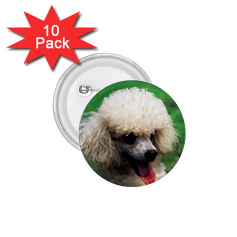 poodle 1.75  Button (10 pack)  from UrbanLoad.com Front