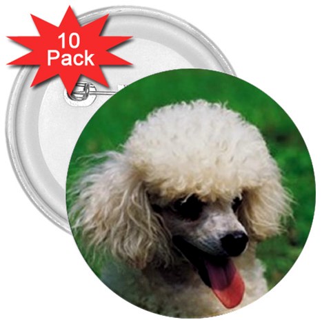 poodle 3  Button (10 pack) from UrbanLoad.com Front