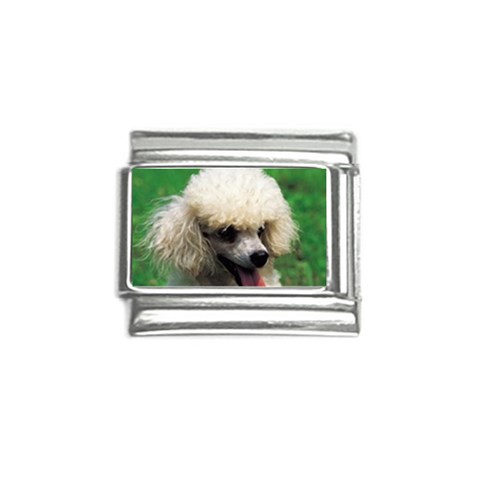 poodle Italian Charm (9mm) from UrbanLoad.com Front