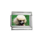 poodle Italian Charm (9mm)