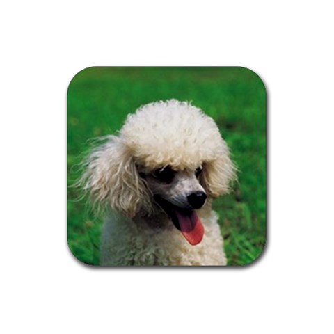 poodle Rubber Coaster (Square) from UrbanLoad.com Front
