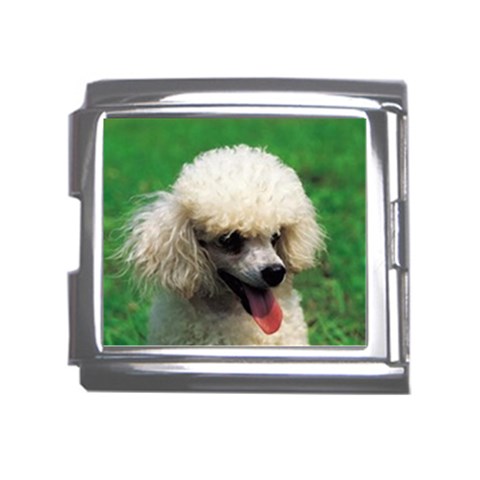poodle Mega Link Italian Charm (18mm) from UrbanLoad.com Front