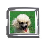 poodle Mega Link Italian Charm (18mm)