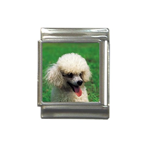 poodle Italian Charm (13mm) from UrbanLoad.com Front