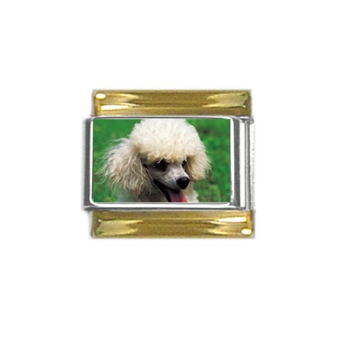 poodle Gold Trim Italian Charm (9mm) from UrbanLoad.com Front
