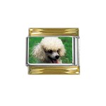 poodle Gold Trim Italian Charm (9mm)