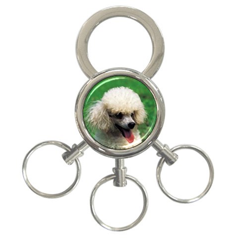 poodle 3 Front