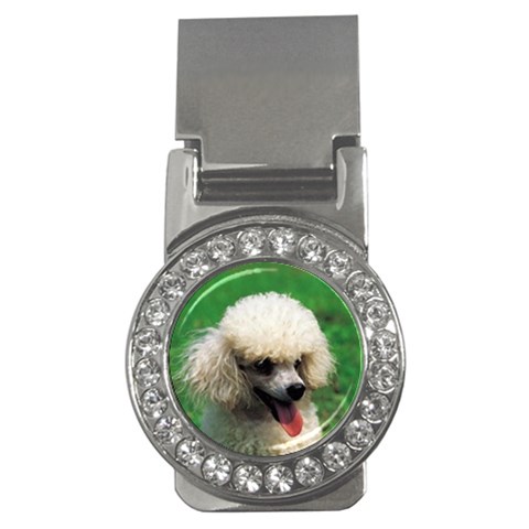 poodle Money Clip (CZ) from UrbanLoad.com Front