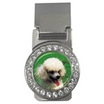 poodle Money Clip (CZ)