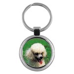 poodle Key Chain (Round)