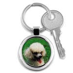 poodle Key Chain (Round)