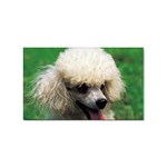 poodle Sticker (Rectangular)