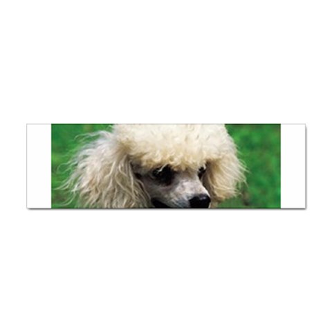 poodle Sticker (Bumper) from UrbanLoad.com Front