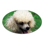 poodle Magnet (Oval)