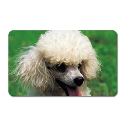 poodle Magnet (Rectangular) from UrbanLoad.com Front