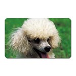 poodle Magnet (Rectangular)