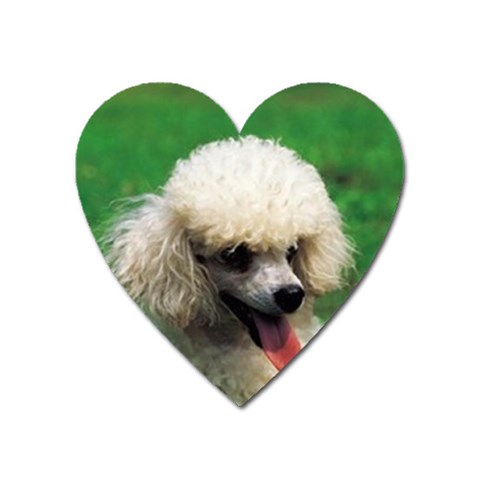 poodle Magnet (Heart) from UrbanLoad.com Front