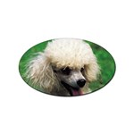 poodle Sticker Oval (10 pack)