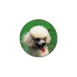 poodle Golf Ball Marker (4 pack)