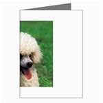 poodle Greeting Card