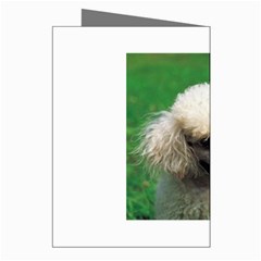 poodle Greeting Cards (Pkg of 8) from UrbanLoad.com Right