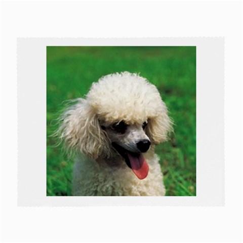 poodle Glasses Cloth (Small) from UrbanLoad.com Front