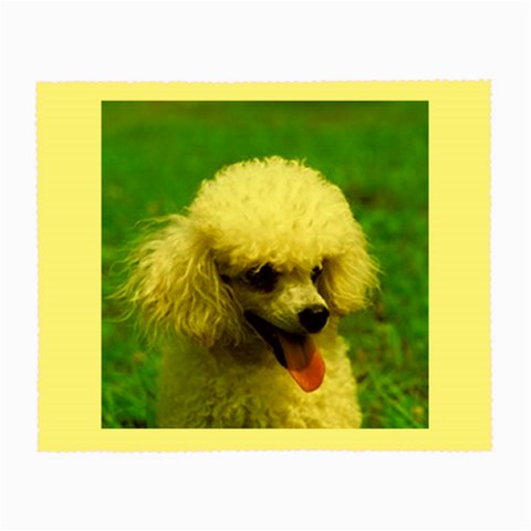 poodle Glasses Cloth (Small) from UrbanLoad.com Front