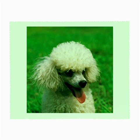 poodle Glasses Cloth (Small) from UrbanLoad.com Front