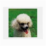 poodle Glasses Cloth (Small)