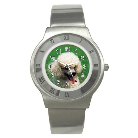 poodle Stainless Steel Watch from UrbanLoad.com Front