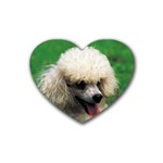 poodle Rubber Coaster (Heart)
