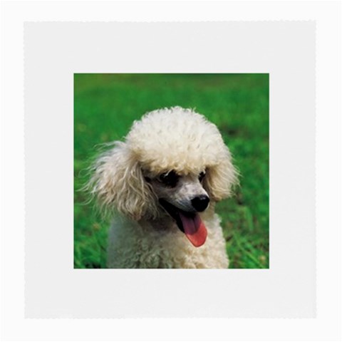 poodle Glasses Cloth (Medium) from UrbanLoad.com Front