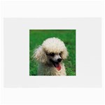 poodle Glasses Cloth (Large)