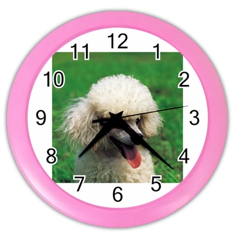 poodle Color Wall Clock from UrbanLoad.com Front