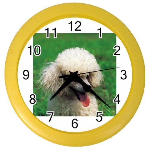 poodle Color Wall Clock from UrbanLoad.com Front