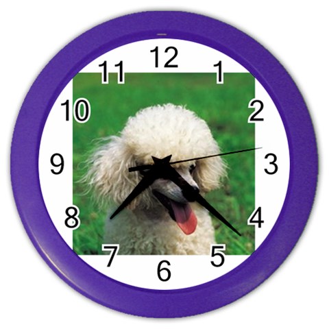 poodle Color Wall Clock from UrbanLoad.com Front