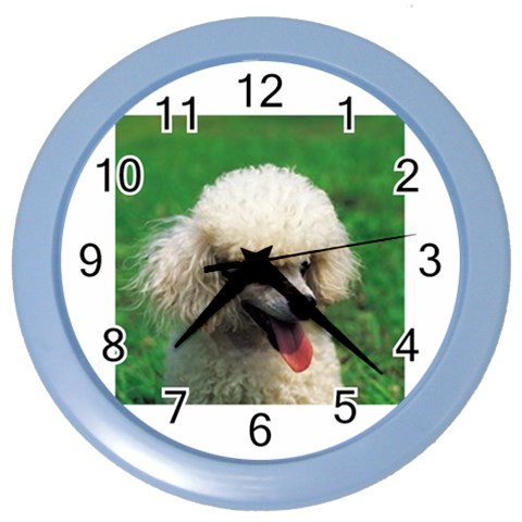poodle Color Wall Clock from UrbanLoad.com Front