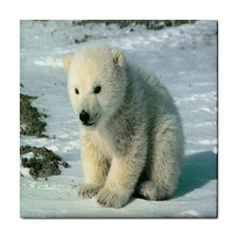 polar Tile Coaster from UrbanLoad.com Front