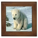 polar Framed Tile