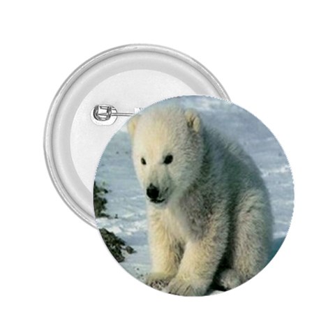 polar 2.25  Button from UrbanLoad.com Front